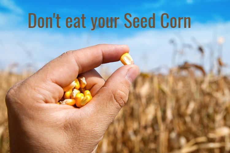 Don’t Eat Your Seed Corn