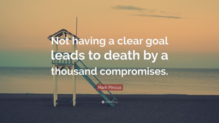 Have a clear goal quote by Mark Pincus